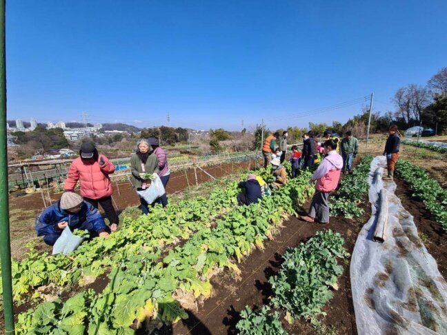 いなぎめぐみの里山　2025年3月の体験企画