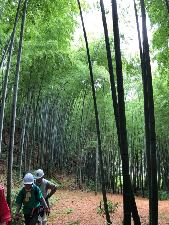 いなぎめぐみの里山で本格的な森林保全活動について学ぶ<p><span style=