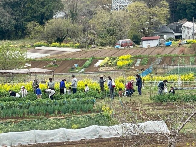 散策と里山体験