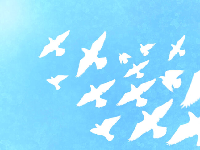 大江戸エリア交流会「ペーパーシティ　東京大空襲の記憶」