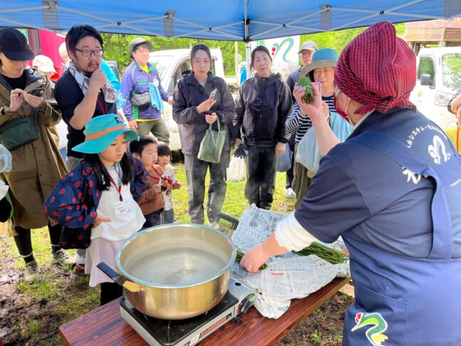 わらびのあく抜き講習会！