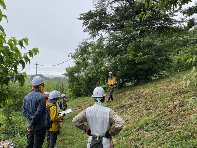 萌芽更新による森の再生についての説明