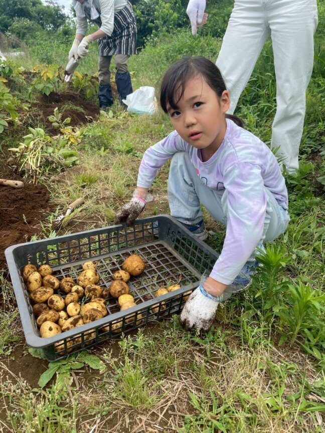 大人気！じゃがいも収穫体験