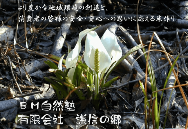 産直Cafe『生産者に聞く産直米：謙信の郷』