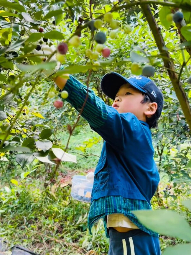8月2日、8月9日「いなぎめぐみの里山 ブルーベリーの収穫体験&昆虫探検」