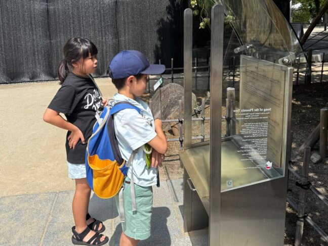 被爆樹木アオギリの前で「アオギリのうた」に耳を傾ける子どもたち