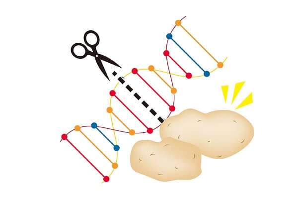 Non GMO 遺伝子組み換え学習会