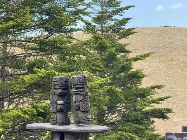 『カムイチェﾌﾟ　サケ漁と先住権』上映会