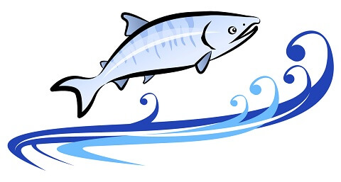 水産産地現状を知ろう