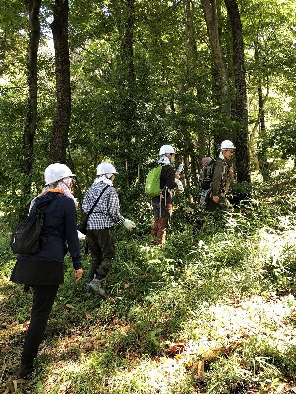 まずは準備体操。実践編の方も入門編の方も一緒に準備しました。その後、実践編の方は本格的に間伐作業に入りました。