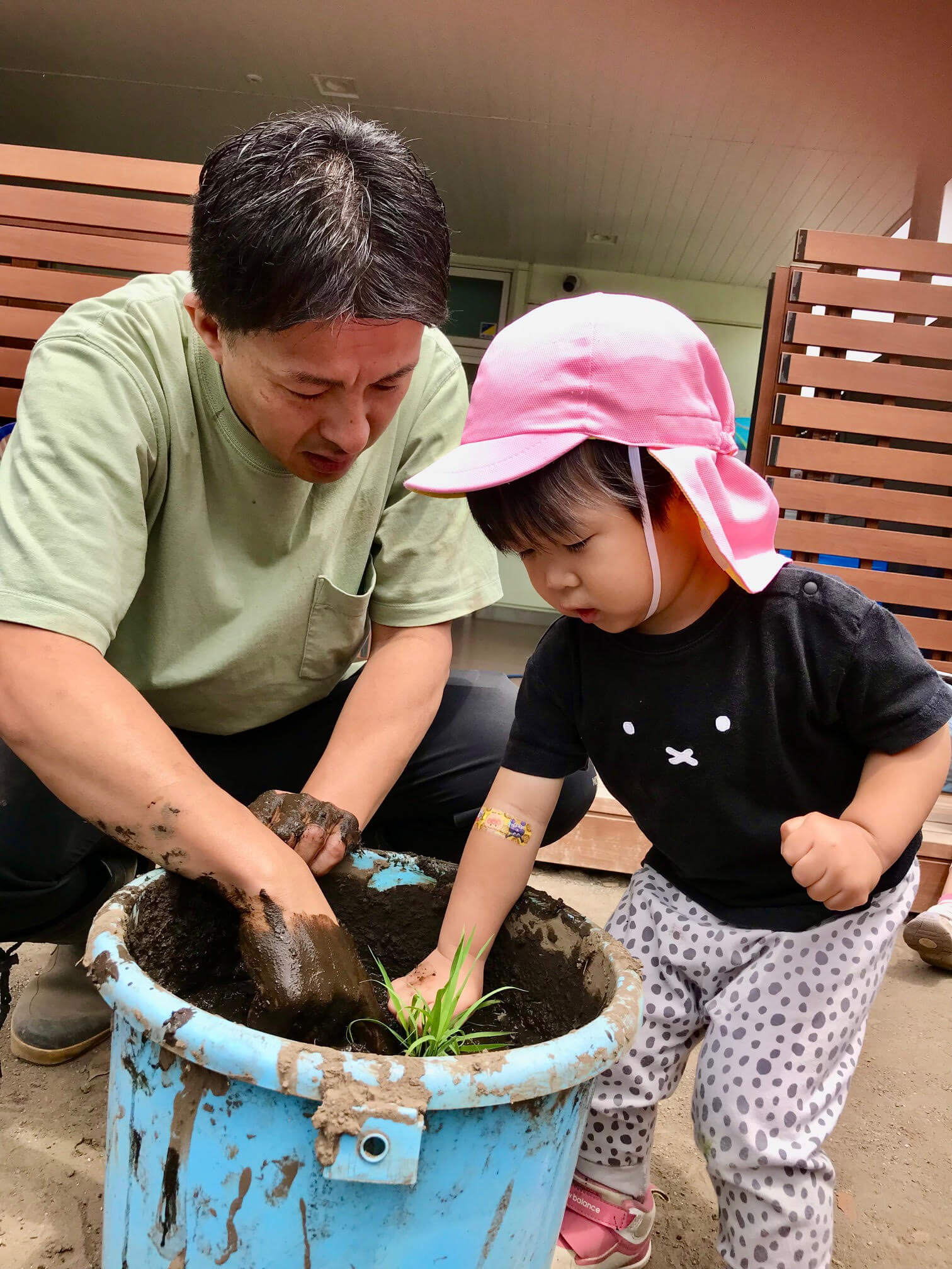 「ぱる★キッズ足立」愛情いっぱいで育てたバケツ稲