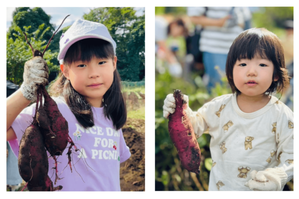 【3】10月25日【4】10月26日「いなぎめぐみの里山　さつまいも掘り」