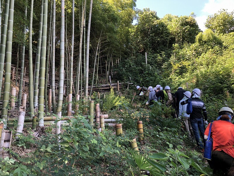 いなぎめぐみの里山で森林保全活動 　竹の間伐（入門編・実践編）を実施しました
