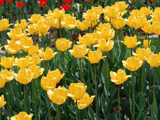第五福竜丸展示館を訪ねる