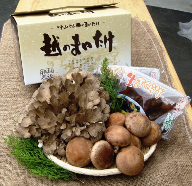 産直Cafe『夏バテ対策にバッチリ！産地に学ぶキノコの魅力』