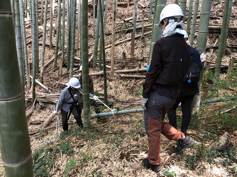 いなぎめぐみの里山で森林保全活動 　竹の間伐（入門編・実践編）を実施しました