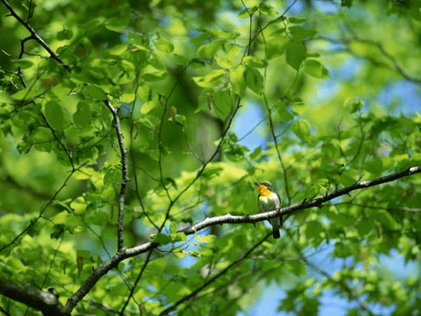 小石川後楽園周辺で戦跡散策はいかがですか?