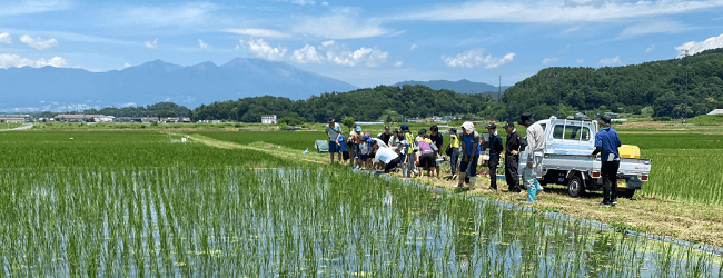 「食べもの」「地球環境」「人」を大切にした「社会」をつくります