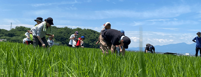 「食べもの」「地球環境」「人」を大切にした「社会」をつくります