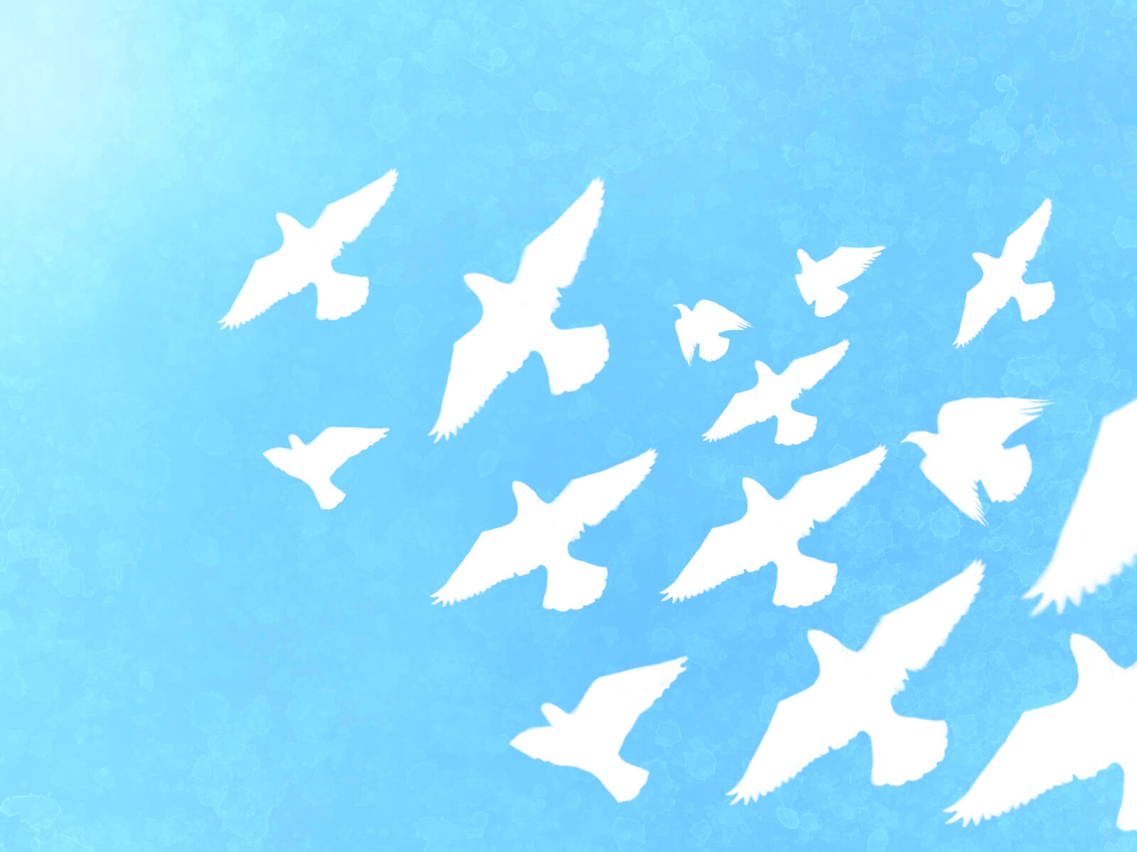 映画『Keememej』“憶えている“（『タリナイ』続編）上映会