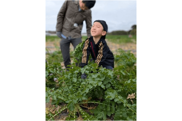 生産者と交流しよう！日帰り野菜の収穫体験♪