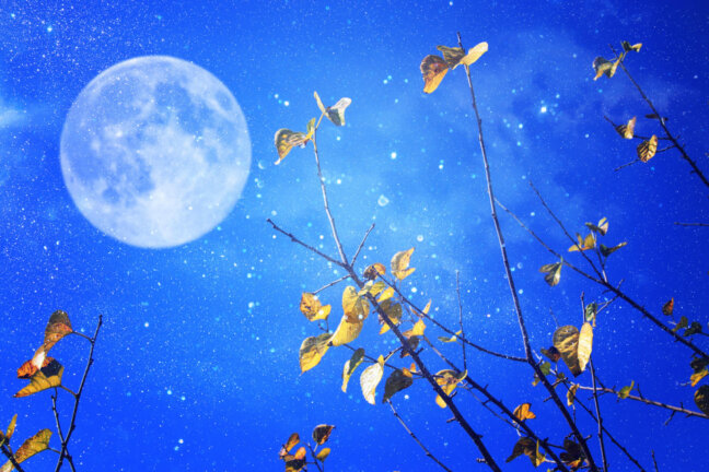 短歌で気持ちを話してみよう～2025年9月19日開催