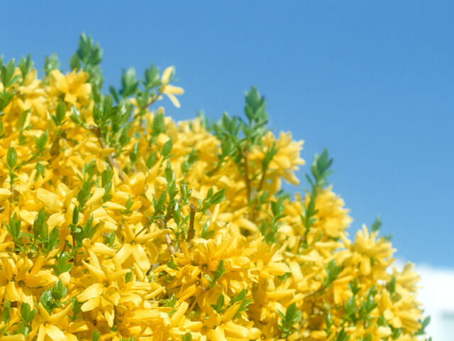 対話でつながる地域ケア「OD入門講座」