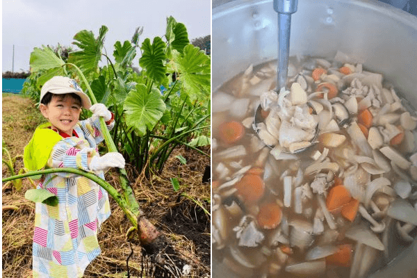 いなぎめぐみの里山　芋煮会