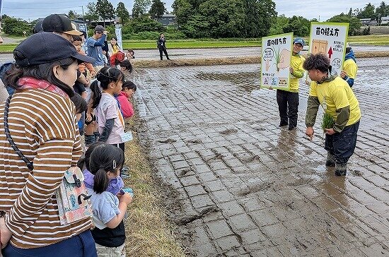 JA職員による田植えレクチャー