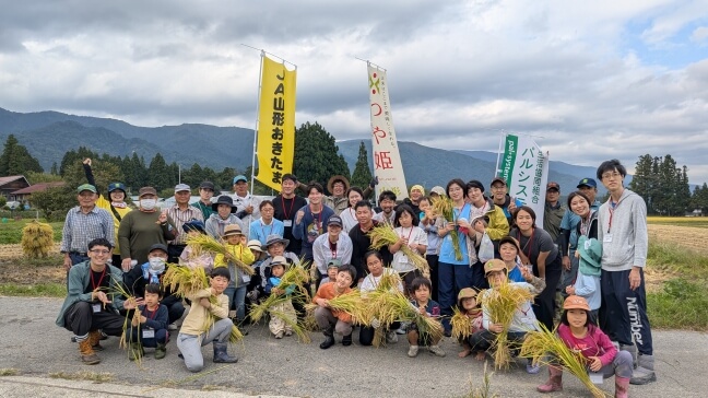 山形県長井市で稲刈り体験！