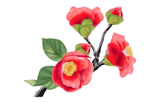 新年を迎えるオシャレな『しめ縄飾り』