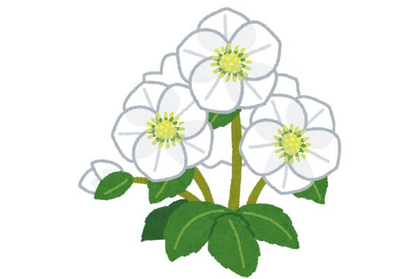 春まで楽しめるハンギングバスケット