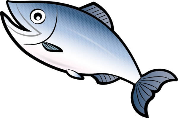 〈お魚食べよう〉冷凍魚を上手に焼くコツを学ぼう!