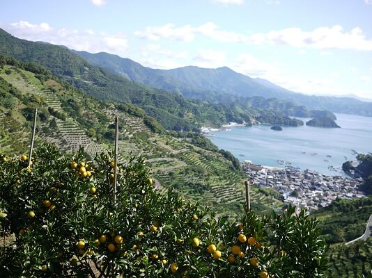 無茶々園と考える～産直の強みと持続可能な地域づくり～