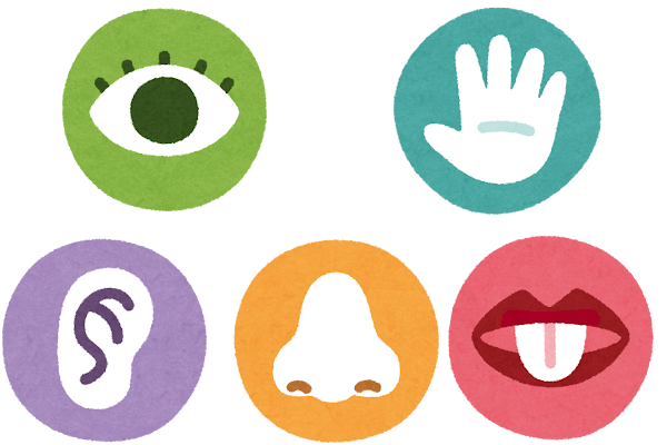 食と科学を組み合わせた実験・工作型STEM教室