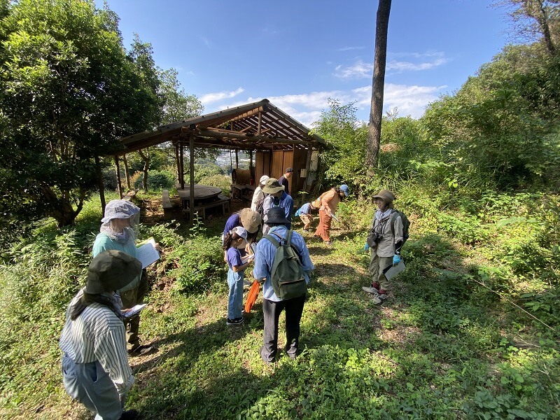 いなぎめぐみの里山で秋の植物観察会を実施しました。（モニタリング）