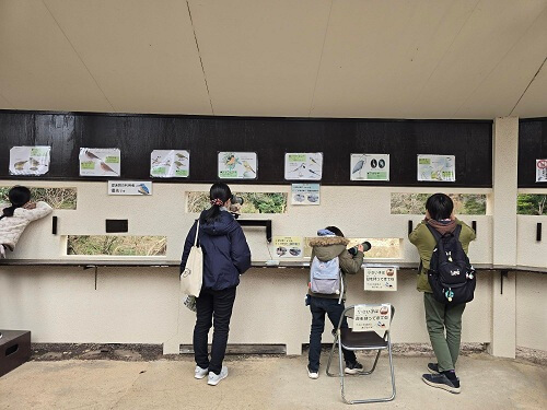 (光が丘公園)バードウォッチングde生物多様性保全