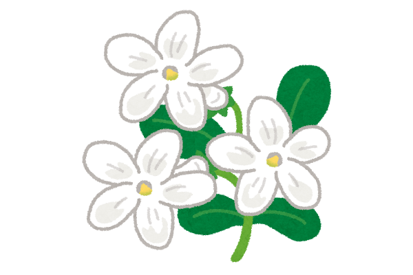 はじめてのつまみ細工