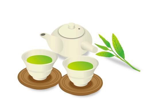 虫たちが守る茶園の秘密とは?!