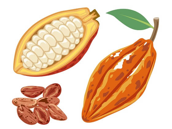 カカオからチョコレートを作ってみませんか♪