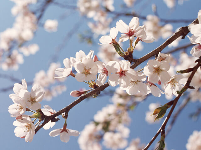 家族が困らない財産の守り方