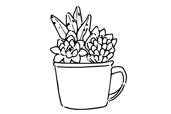 多肉植物の小さな寄せ植え