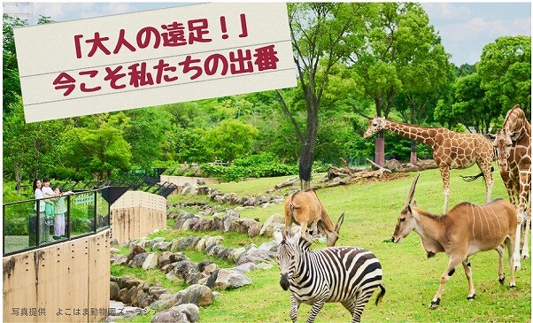 大人の遠足！よこはま動物園ズーラシアで学ぶ ～知る・考える・行動する、今こそ私たちの出番