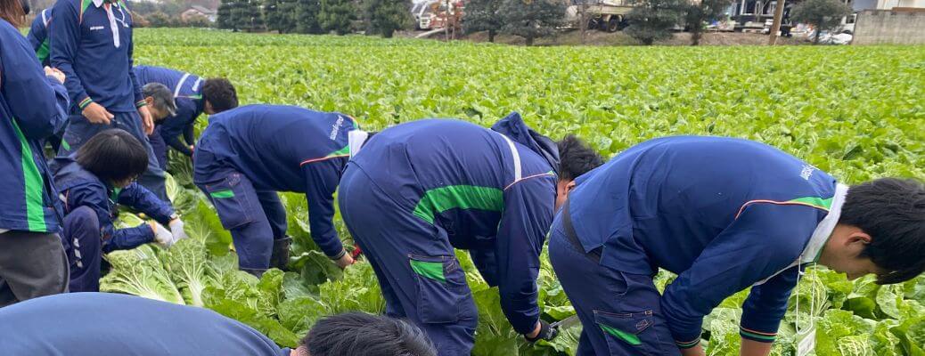 「食べもの」「地球環境」「人」を大切にした「社会」をつくります