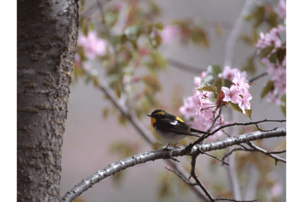 平和祈念展示資料館見学