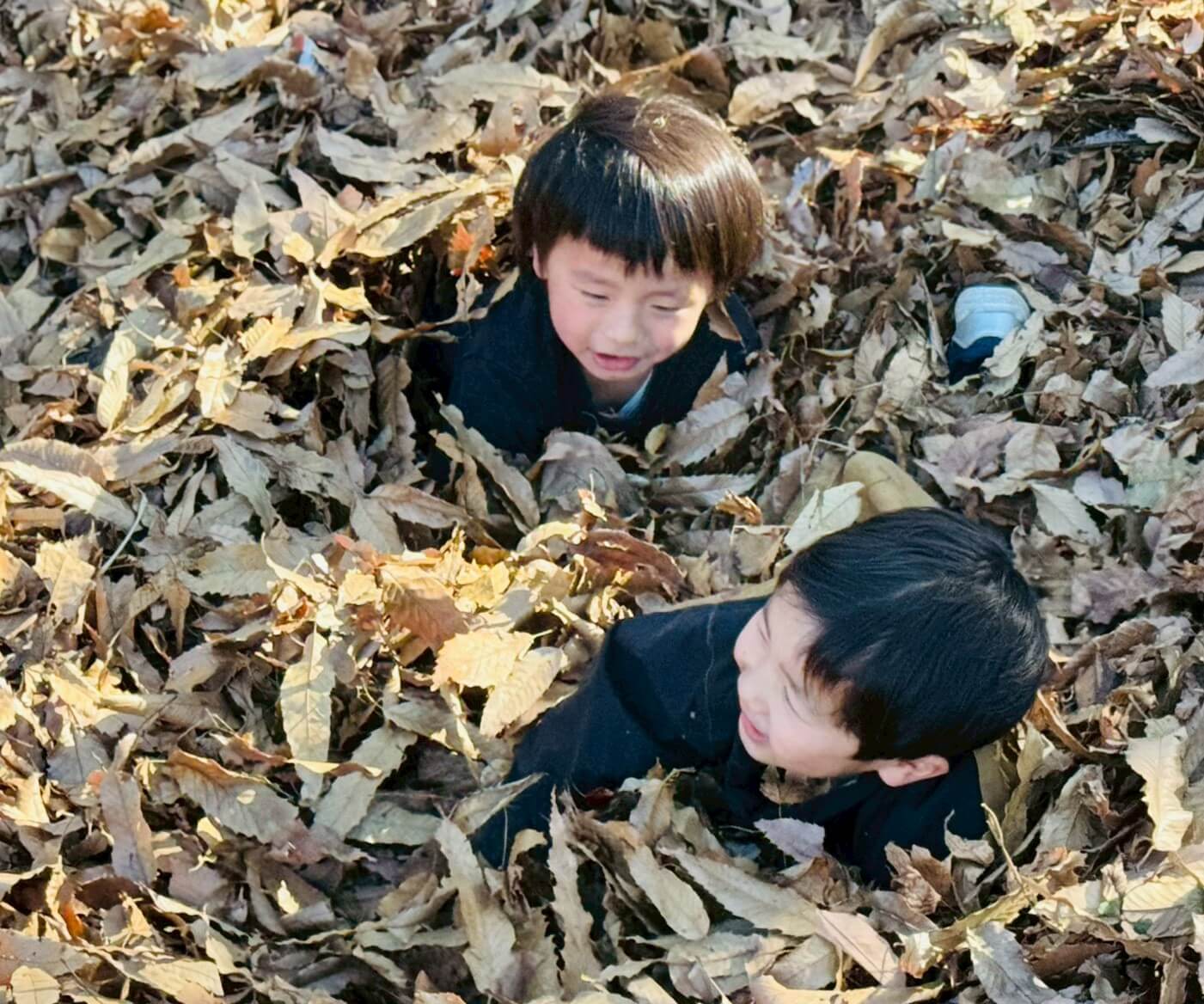 落ち葉プール遊び＆ほくほく焼き芋企画