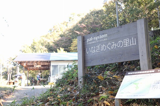 【1】3月7日【2】3月8日「いなぎめぐみの里山 のらぼう菜の収穫体験」