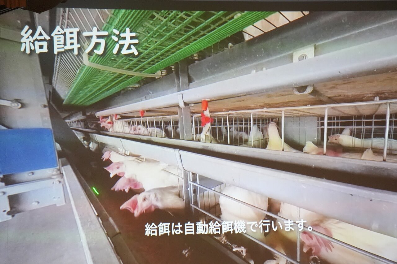 監査は360度カメラ動画により、防疫と詳細な現場確認