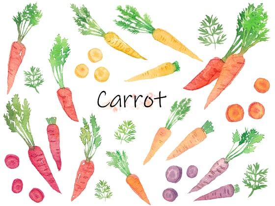 人気商品のキャロっとさんについて学ぼう