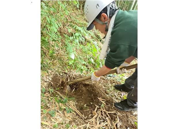 いなぎめぐみの里山で森林保全(急斜面のタケノコ掘り)